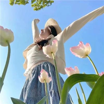 摩登女婿 高清封面