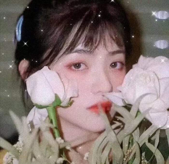 完美嫌疑人 高清封面