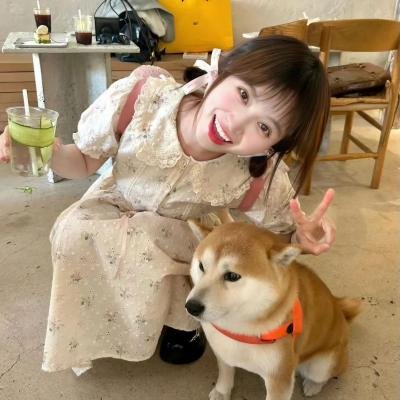 魔女猎人 高清封面