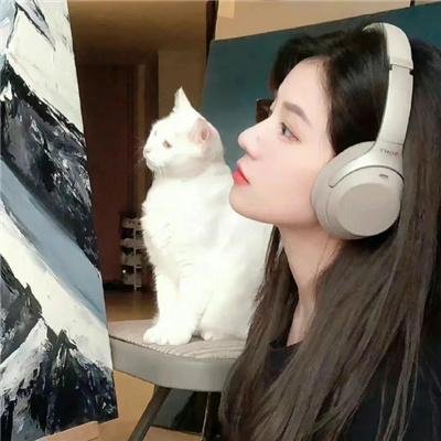 内战圣伯纳犬 高清封面