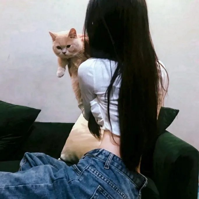 杜鹃的女儿 高清封面